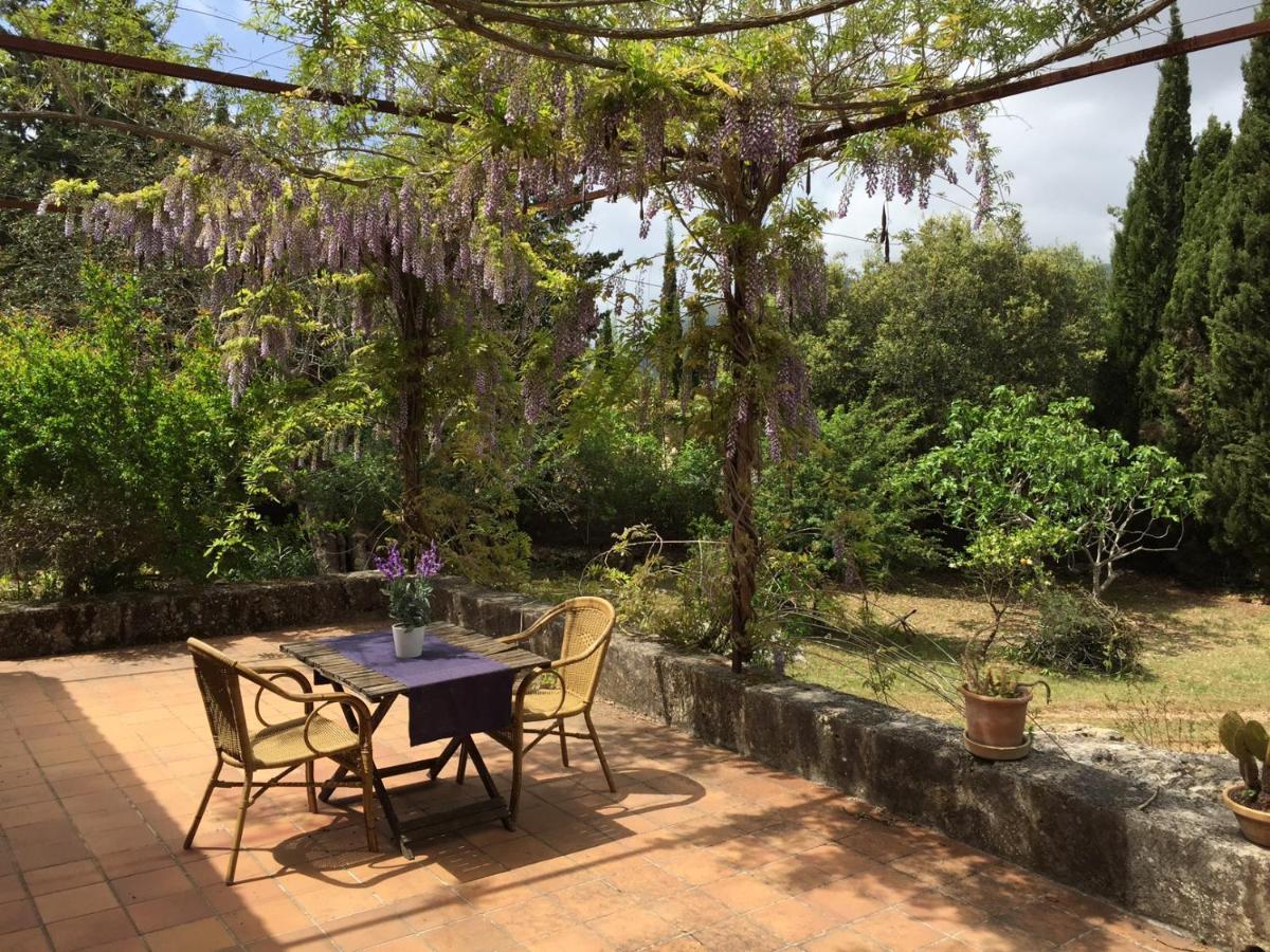 Finca Can Trui Teresa Vila Pollença Exterior foto